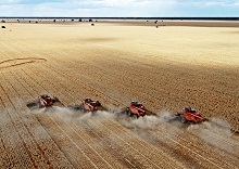 Intensive Agriculture © Neil Zoglauer