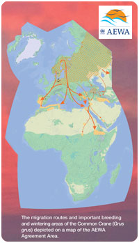 The African-Eurasian Migratory Waterbird  Agreement (AEWA) and the Wings Over Wetlands (WOW) Project