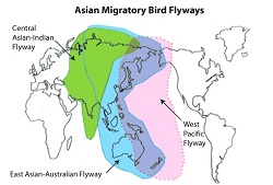 usfws_central_asian_flyway_map_250x165