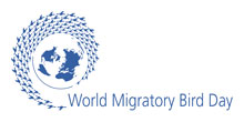 World Migratory Bird Day 2013