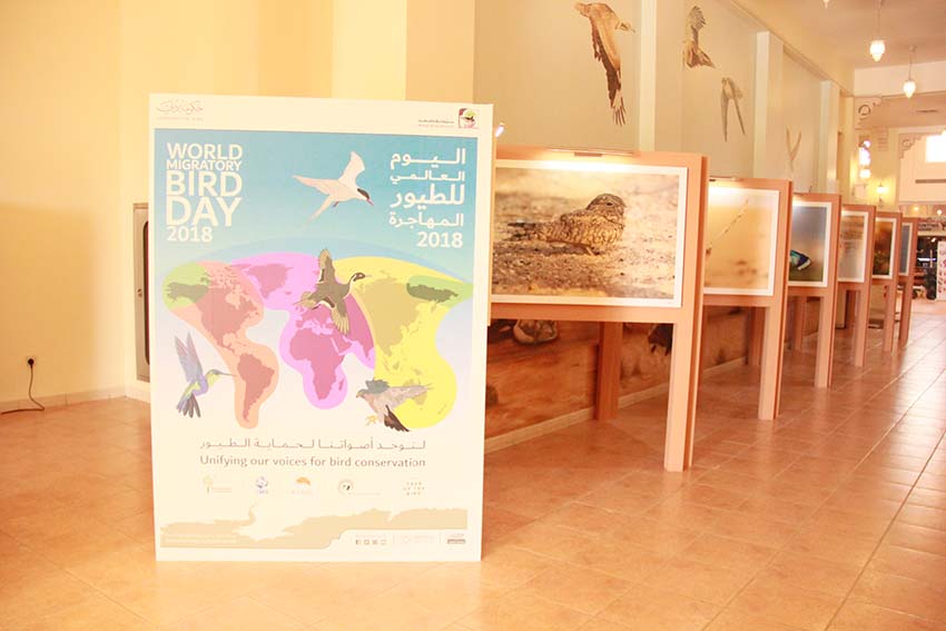 World Migratory Bird Day - © Dubai Municipality
