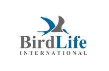 birdlife