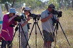 wwwneeravbhattcom_neeravbhatt_birdwatchers_150x100