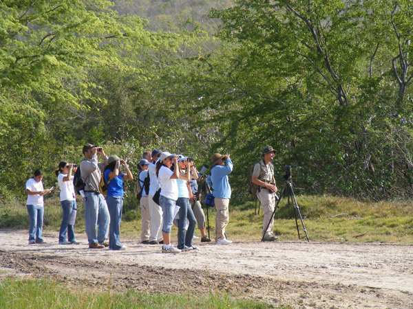 2008_0510lagunapajareando0147