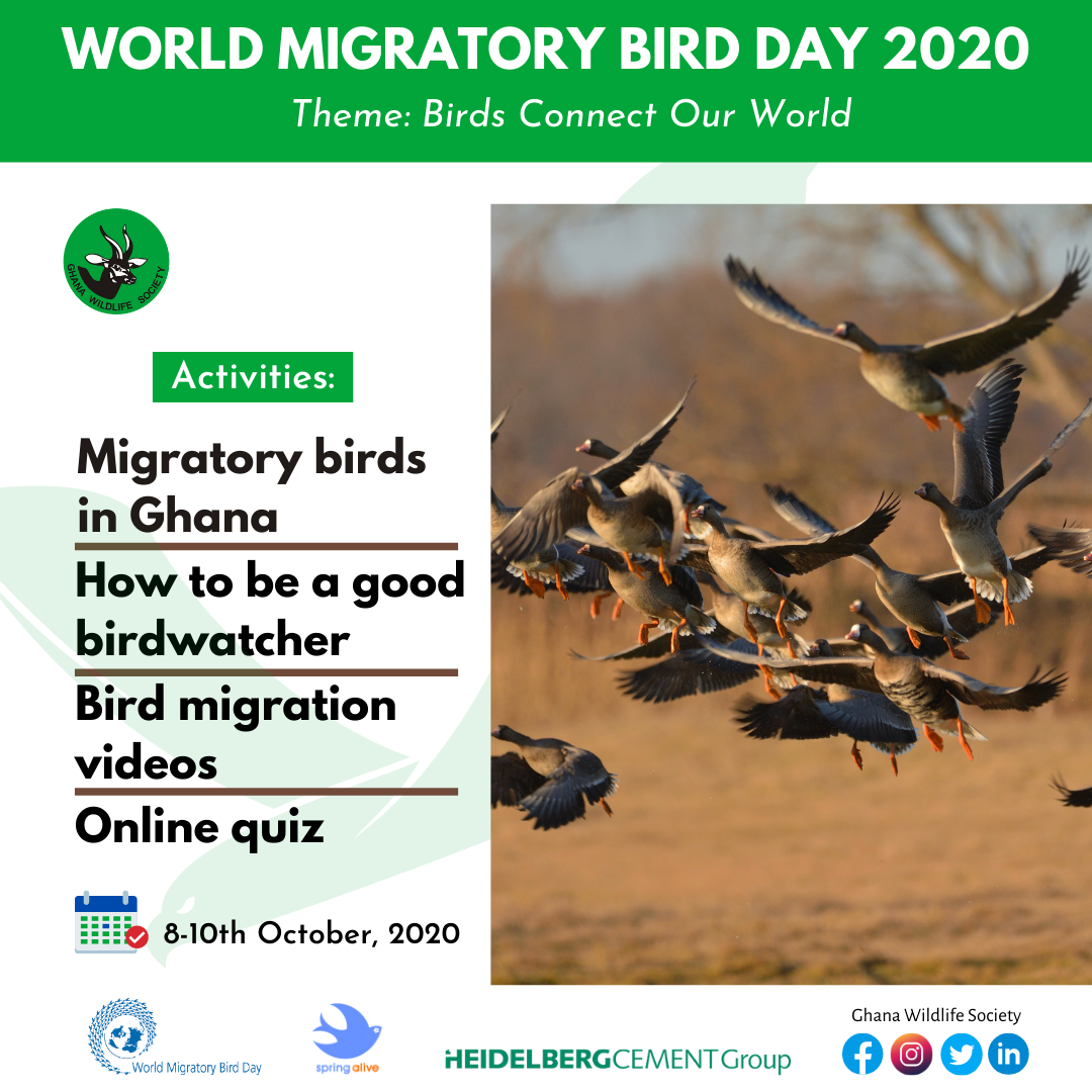 Raising awareness and encouraging active participation in birdwatching |  World Migratory Bird Day