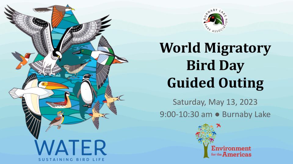 World Migratory Bird Day Outing at Burnaby Lake World Migratory Bird Day