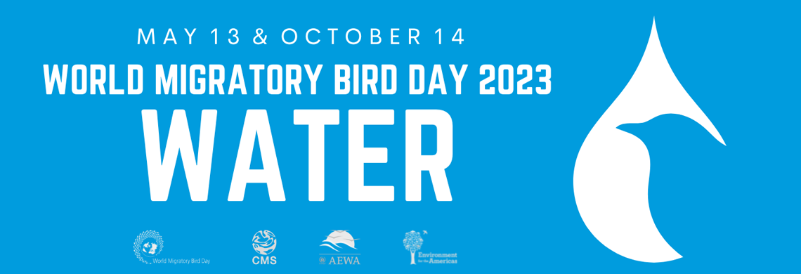 World Migratory Bird Day 2025