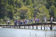 Bird watching at Divjaka-Karavasta National Park