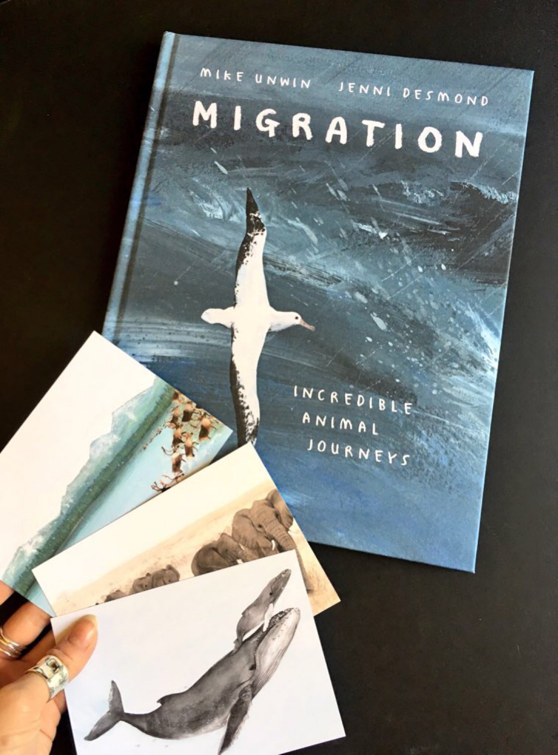 Migration: Incredible Animal Journeys by Mike Unwin and Jenni Desmond | World Migratory Bird Day Migration: Incredible Animal Journeys by Mike Unwin and Jenni Desmond | World Migratory Bird Day