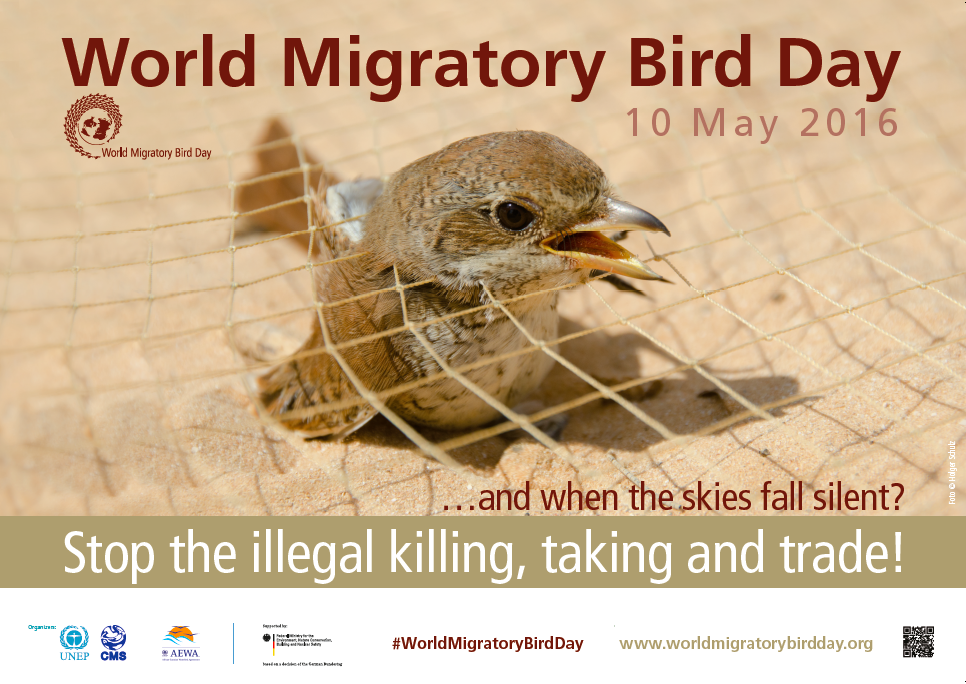 Stop the Illegal Killing, Taking and Trade of Migratory Birds | World  Migratory Bird Day